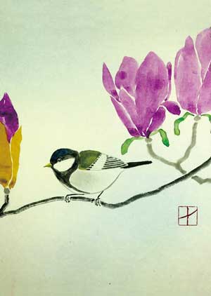 Mésange et Magnolias