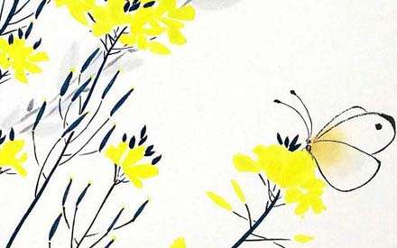 Fleurs de colza et papillons