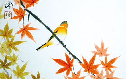 Feuilles d'érable japonaises et Pinsons du Nord