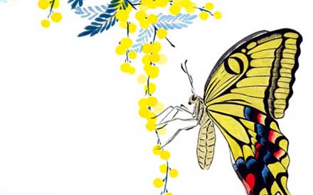 Mimosas et machaons