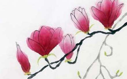 Magnolias et pins